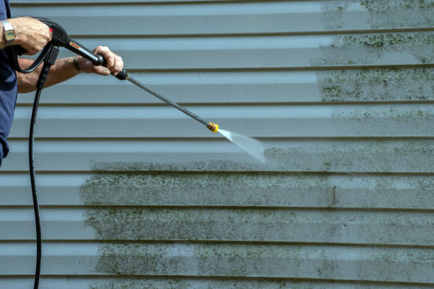 Best Affordable Power Washing  in Cedar Bluff, VA